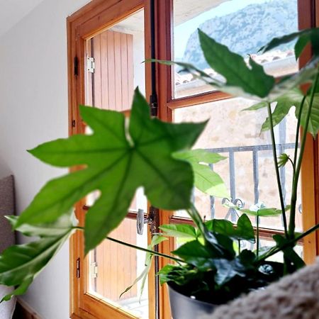 Casa Tramuntana Hotel Tautavel Екстериор снимка