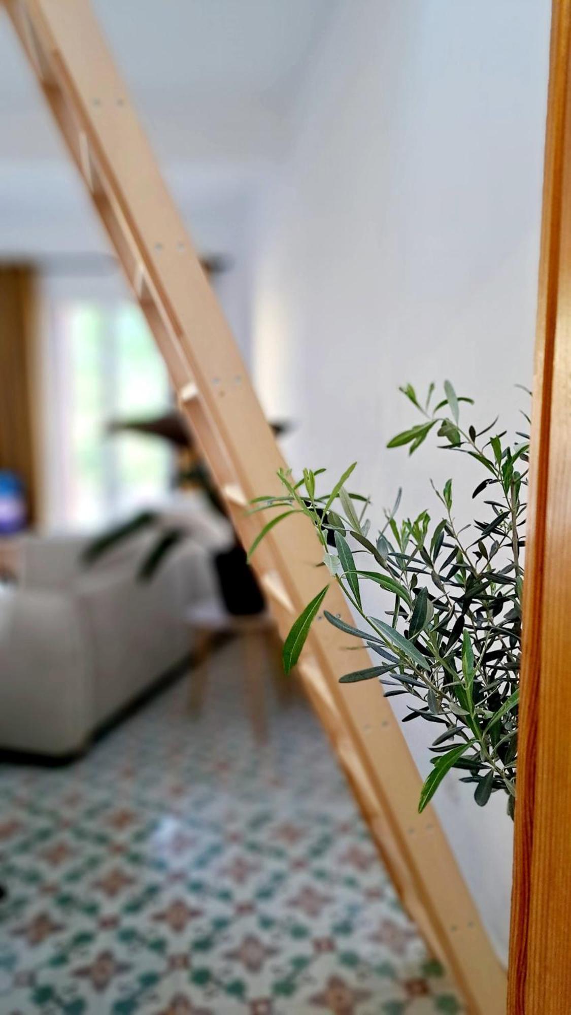 Casa Tramuntana Hotel Tautavel Екстериор снимка